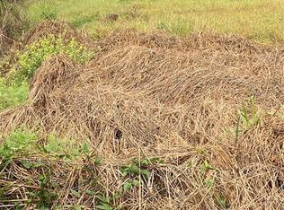 40950 Stewart Rd, Dade City, FL 33525