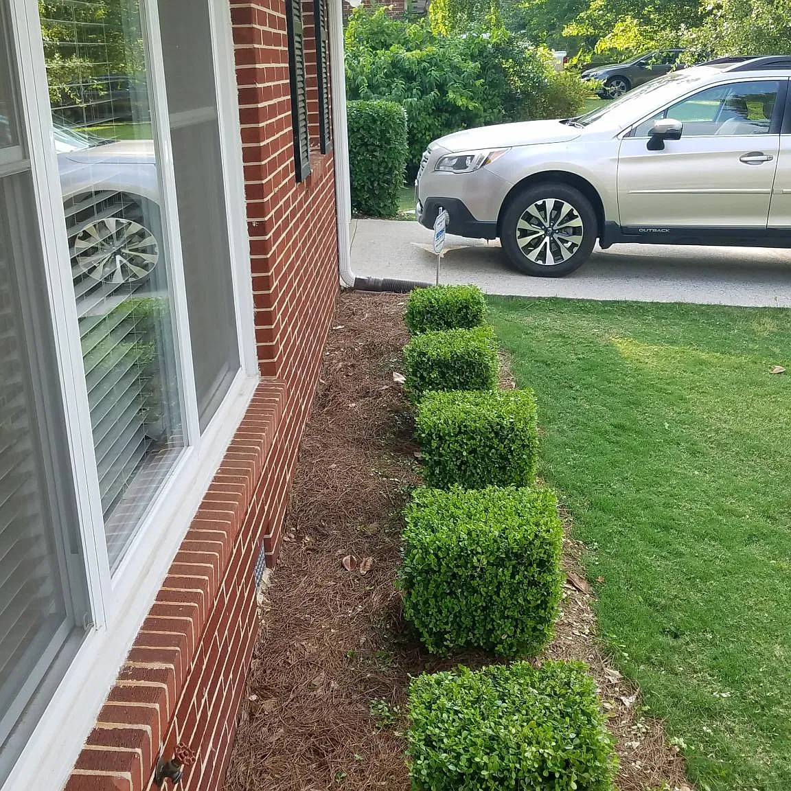 3 bed, 1.5 bath, 1200 sqft, $2,200 — Photo 4