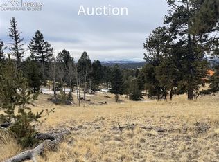 23 Southpark Rd, Florissant, CO 80816