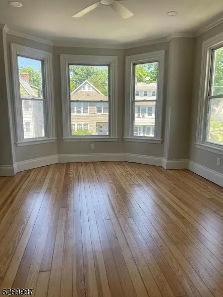2 bed, 1.0 bath, $2,500 — Photo 2