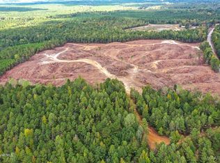 13033 Highway 43, Linden, AL 36748