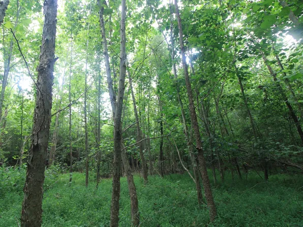 0 State Highway 14 Lot 2, Reidsville, NC 27320