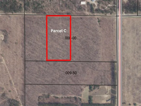 PARCEL Peterson Rd #C, Mancelona, MI 49659