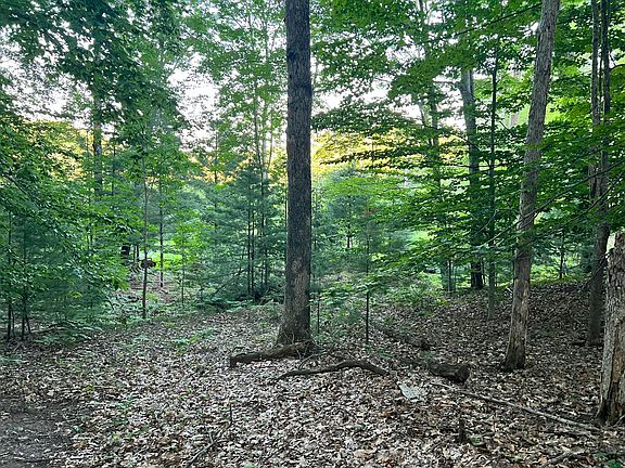 4th image of 13 Northern Dr
