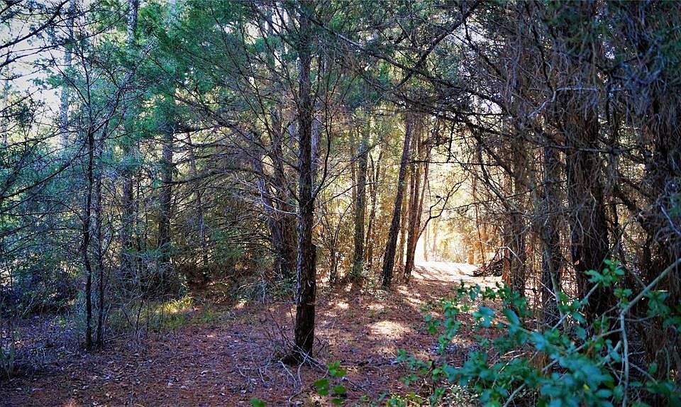 1st image of 3 W Forest Dr