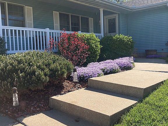Spring bloom front steps