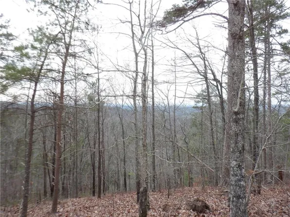 27 Antler Ct #28, Ranger, GA 30734