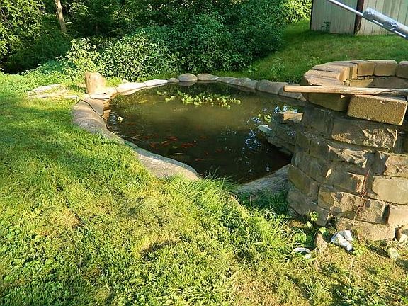 Pond with Fish