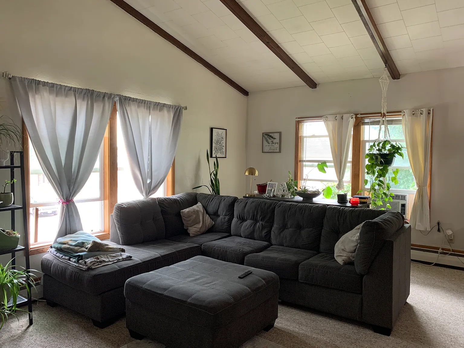 2 bed, 800 sqft, $1,155 — Photo 2