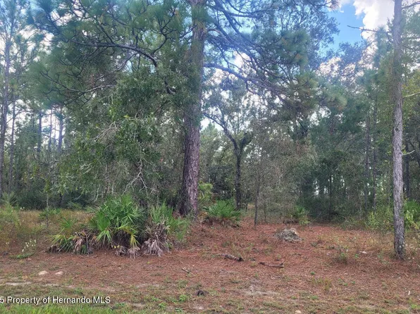 0 Maybird Ave, Brooksville, FL 34613
