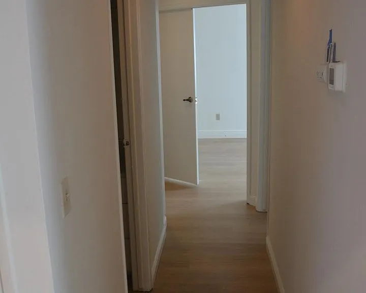 2221 Lynbrook Dr — Photo 10
