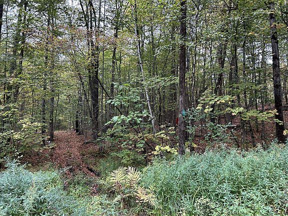 3rd image of 0 Crane Mt Road Lot # 2