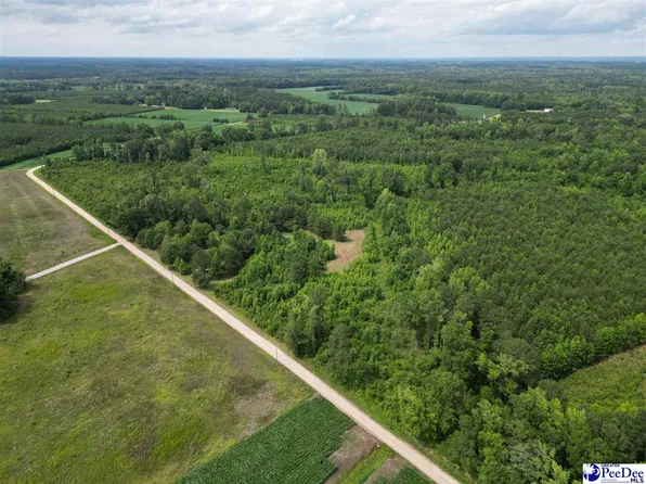 3802 Billy Green Rd, Florence, SC 29505