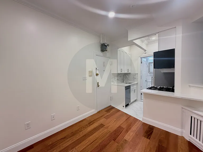 159 E 99th St #1X — Photo 6