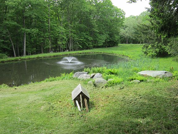 view of pond from backyard