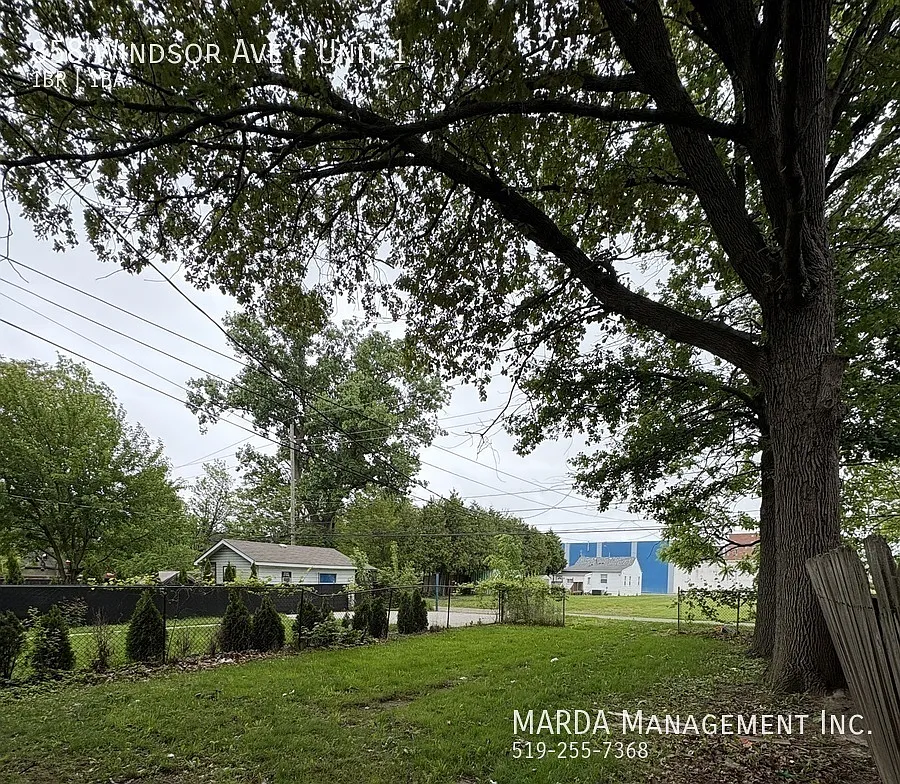 Cozy 1 Bed/1 Bath Downtown Windsor + Gas — Photo 4