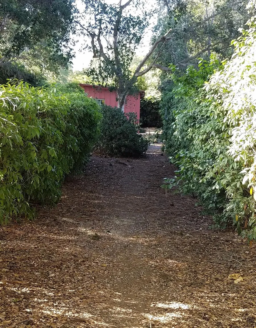 3 bed, 1516 sqft, $10,000 — Photo 4