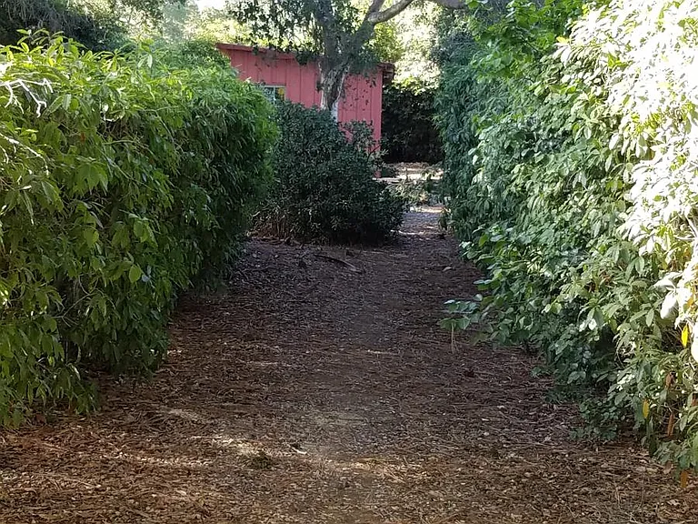 Walkway in backyard