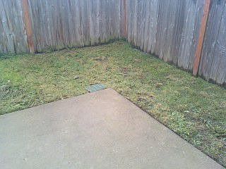 3rd image of 616 114th St E