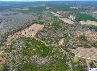 Whitmire Ln, Manning, SC 29102
