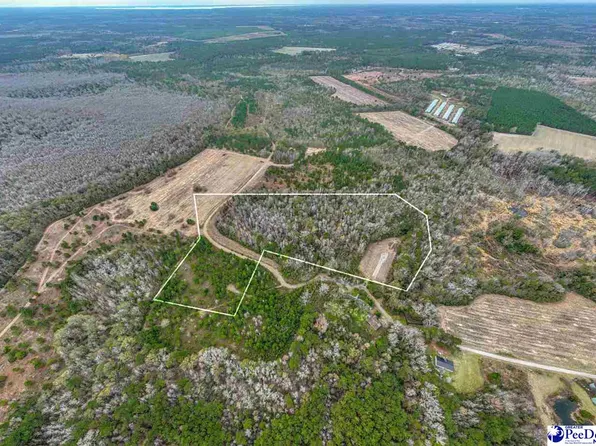 Whitmire Ln, Manning, SC 29102