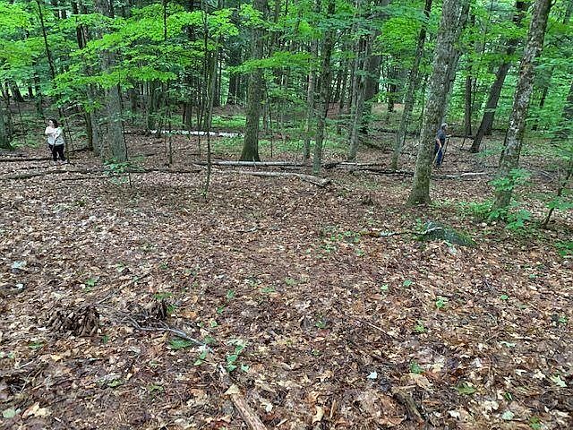 00 VT Route 11 West, Chester, VT 05143 | Zillow