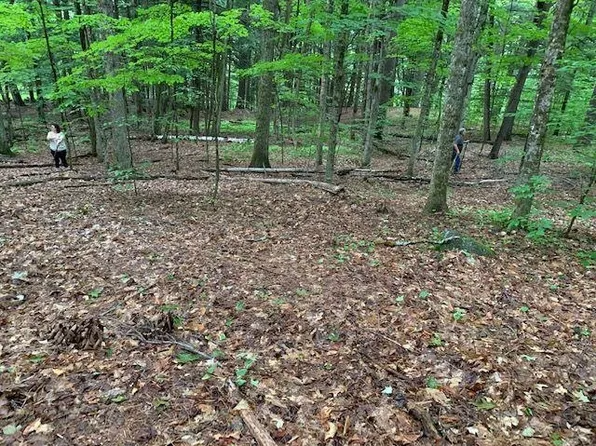 00 VT Route 11 West, Chester, VT 05143