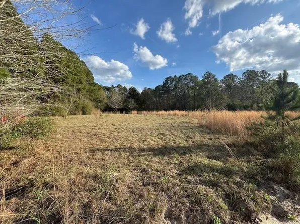 0 Eden Rd, Patterson, GA 31557