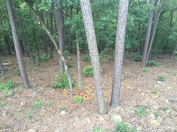 View from windows/deck