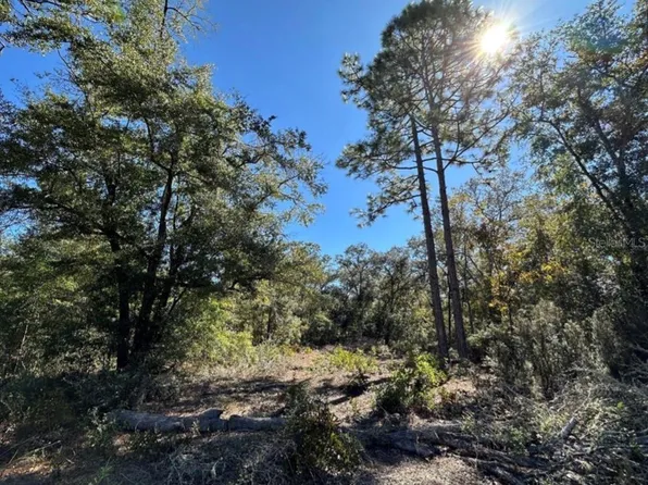TBD NE 86TH STREET, BRONSON, FL 32621