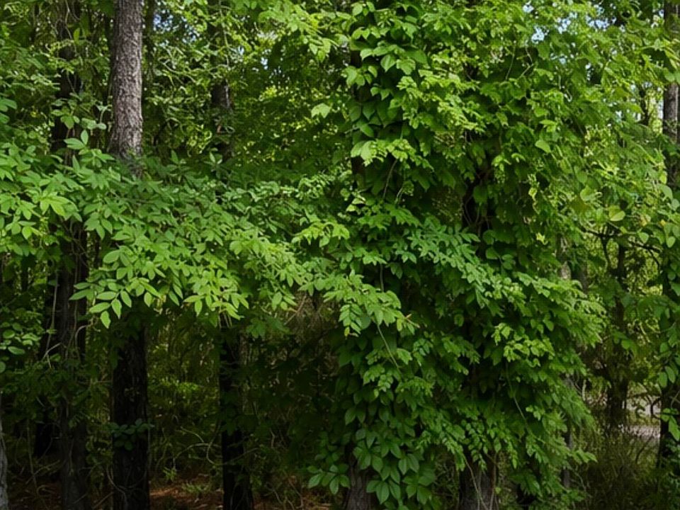 1st image of 3225 Jesella Dr Lot 5