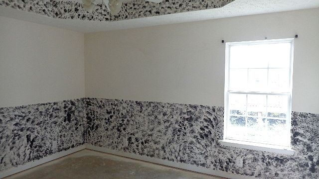 1st image of 464 Dorchester Dr