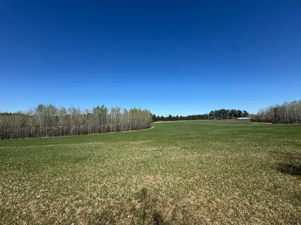 24282 315th Ave, Akeley, MN 56433