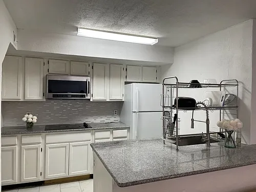 5550 Granite Pkwy #245 Photo 1