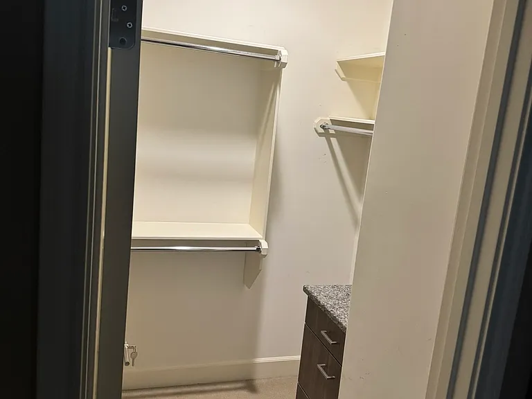 Primary Walk-in closet