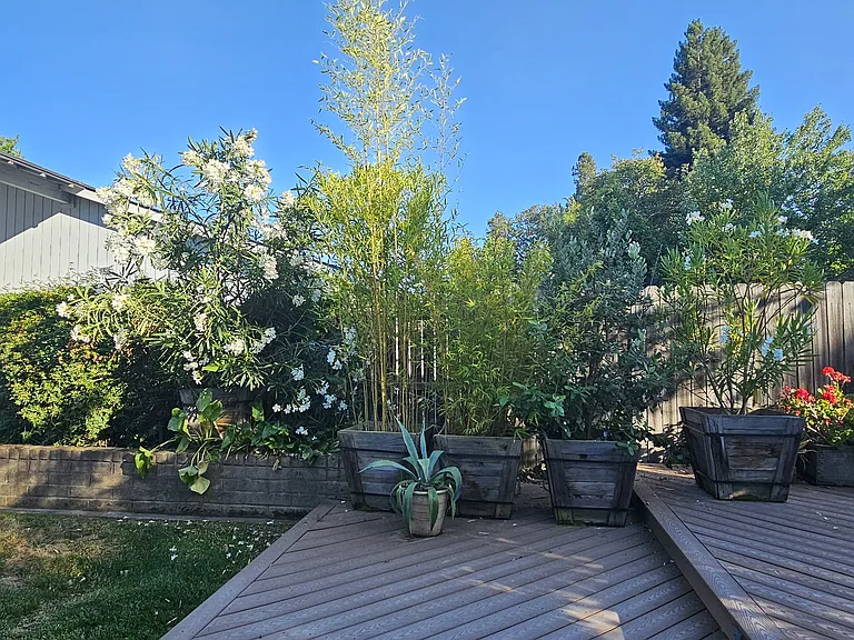 3083 Funston Dr — Photo 17