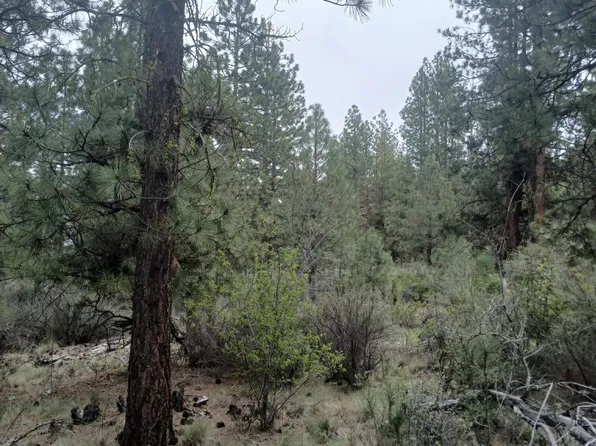0 Tableland Rd, Chiloquin, OR 97624