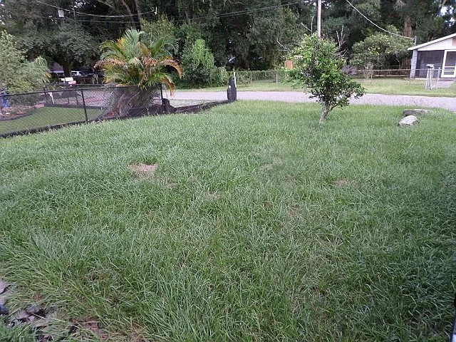 6914 Waycross Ave — Photo 5