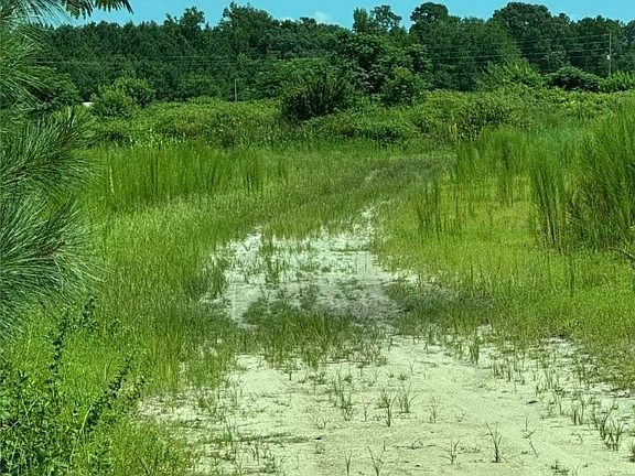 4th image of 2898 McGirt Gin Rd