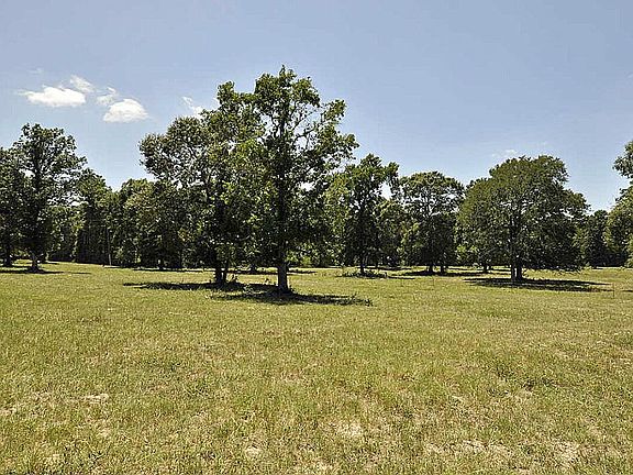 Notice the trimmed trees & clean pasture!  The entire pasture has been cleared of small trees!  Another 1/2 acre easement exists located on the opposite side of the property from the asphalt road!  See the aerial picture attachment for clarity.