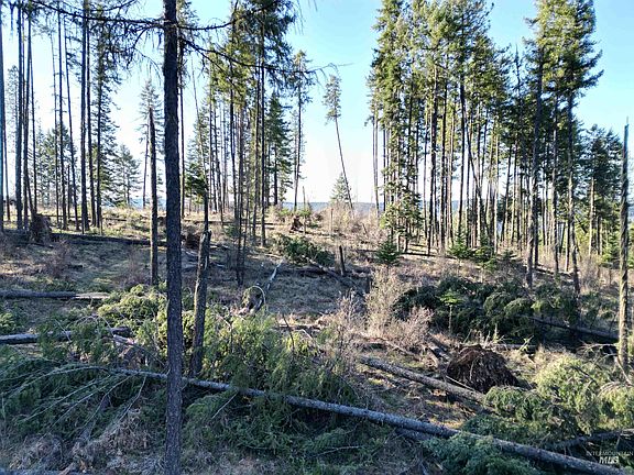 3rd image of Dent Bridge Rd