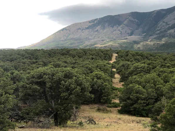 90 Cl&g Cir #1, Gardner, CO 81040