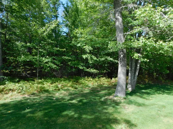Birdie Cir Unit 29, Grayling, MI 49738