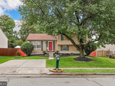 65 Yew Rd, Essex, MD, 21221