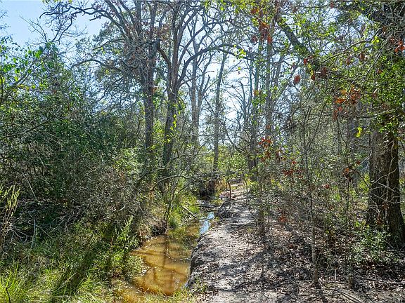 3rd image of LOT 7 County Road 229