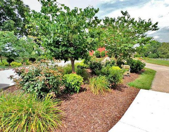MATURE LANDSCAPING