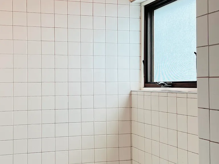 Walk-in rainfall shower