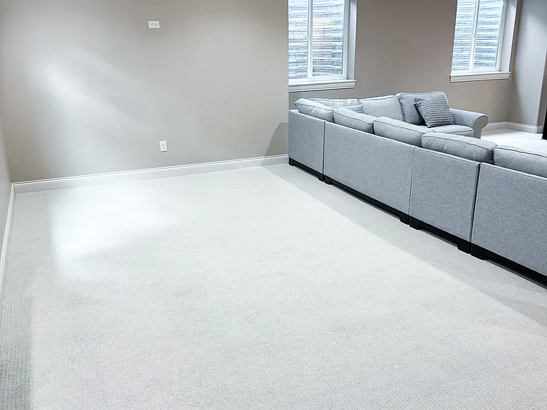 Basement Family Room