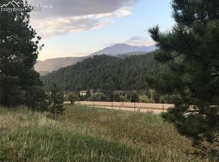 311 Sunny Glen Ct, Woodland Park, CO 80863