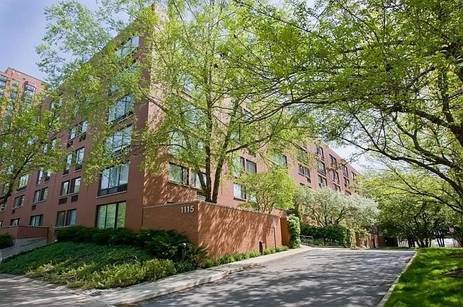 1st image of 1115 S Plymouth Ct APT 411